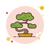 icons8 bonsai 100